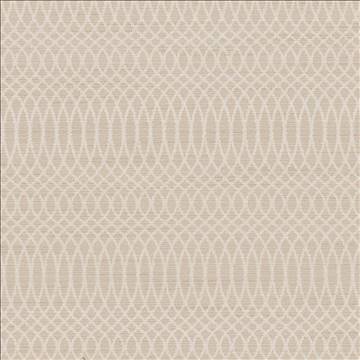 Kasmir Fabrics Scrolly Stripe Cotton Fabric 